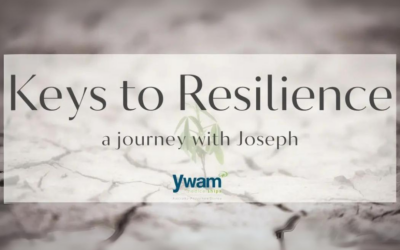 BUILDING RESILIENCE BIBLE STUDY