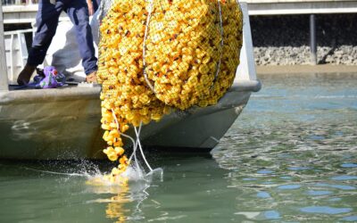 2024 SEAFARERS DUCK DERBY