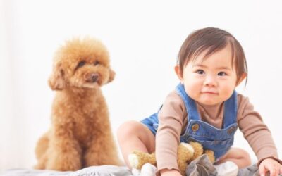 HOW TO INTRODUCE A NEW BABY OR PUPPY TO YOUR FAMILY DOG