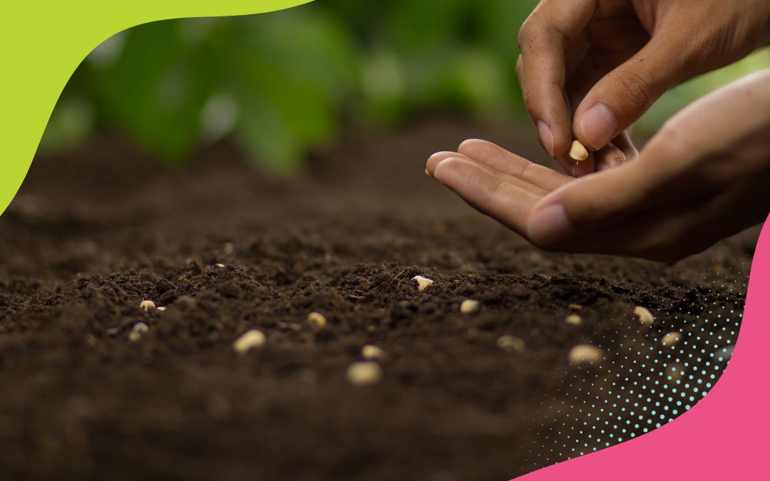 GROW YOUR GARDEN