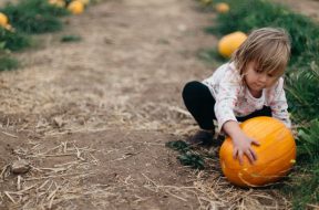Child-and-pumpkin.jpg